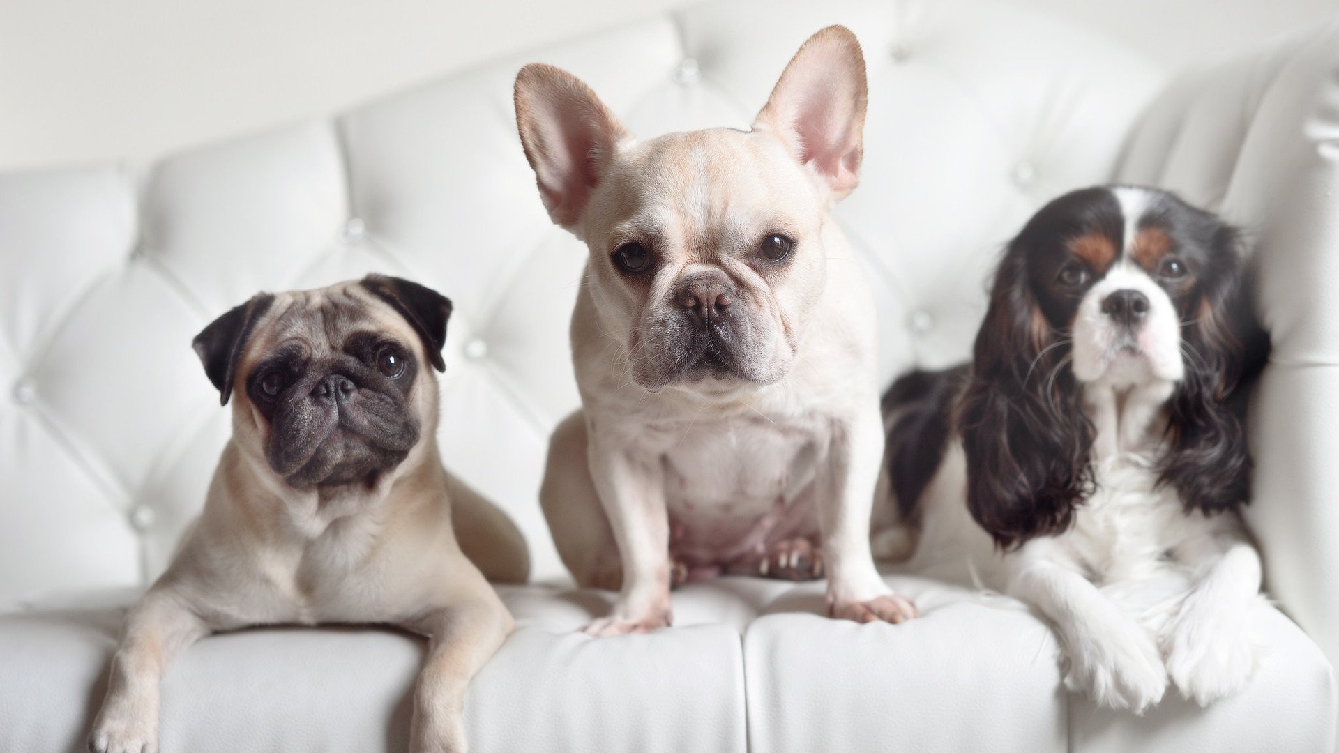 _赛事暂停？天气因素影响比赛节奏_，球赛因天气原因中断