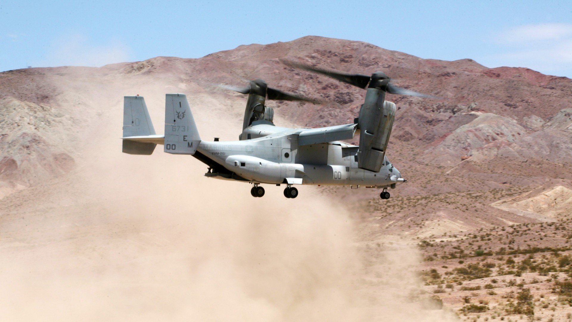 _魔术队创造多项纪录，赛季表现令人期待_，魔术队冠军