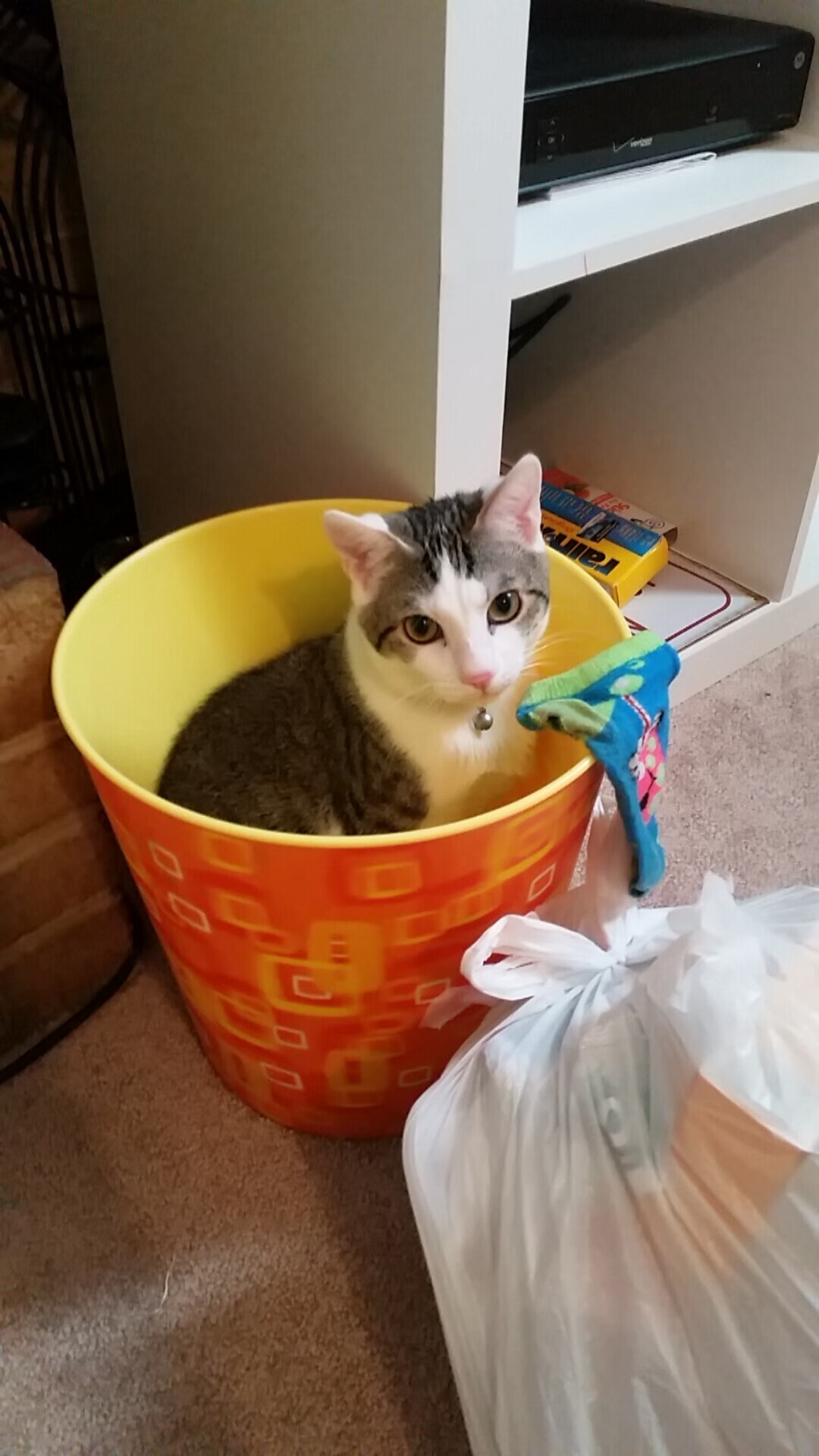 全国青少年“绿色体育”公益项目在成都全面推广，践行绿色生活理念